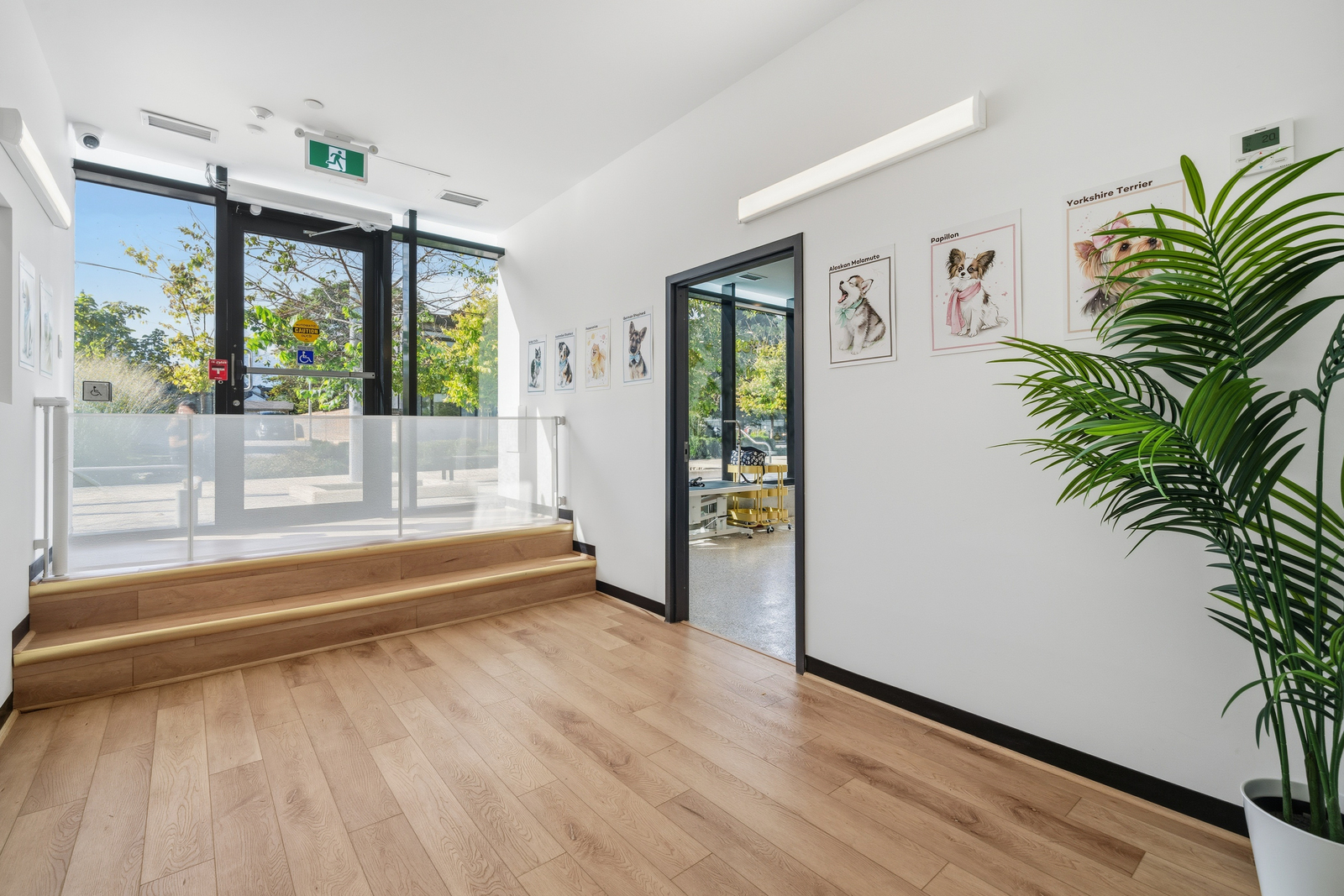 Commercial & Mixed-Use Renovation